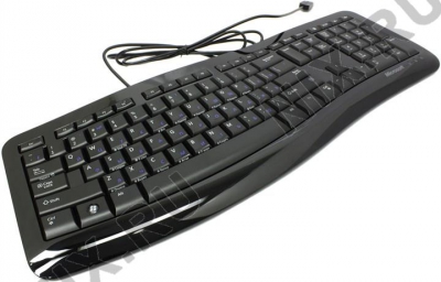   Microsoft Comfort Curve Keyboard 3000 <Black> Ergo <USB> 104+4 / <3TJ-00012>  