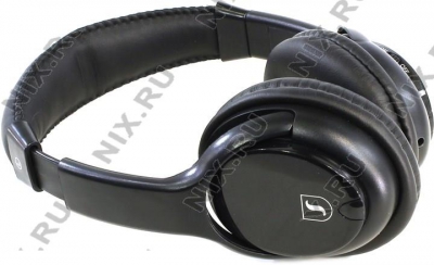   Soundtronix S-Z890 (,   ,  MP3,FM,FM-)  